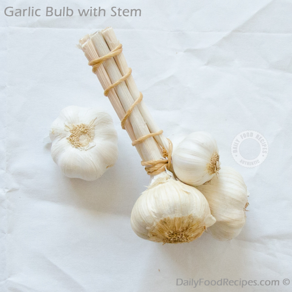 Garlic Bulb with Stem