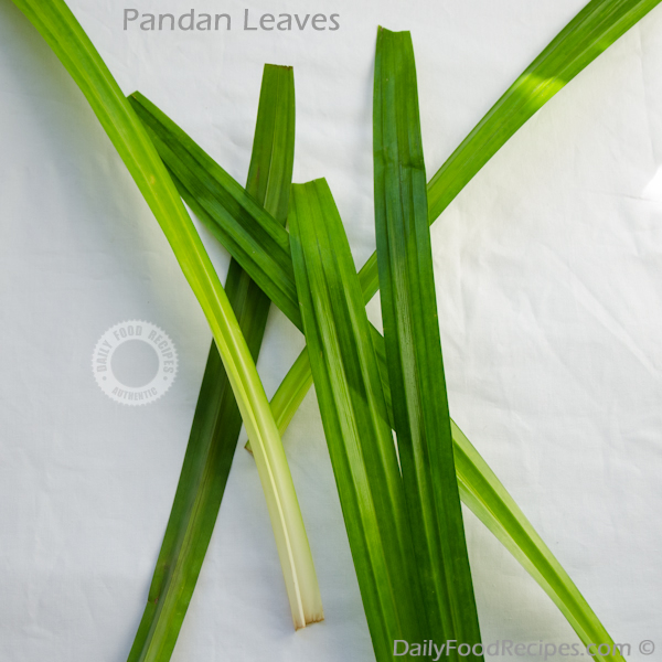 Pandan Leaves (rampe leaves)